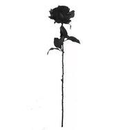Dark Gothic Black Rose (single) DB4083