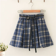 All-match plaid pleated skirt  DB6371