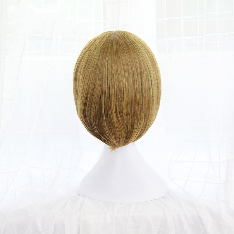 Hanayo Koizumi cos linen wig DB5255